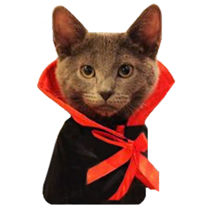 Halloween Cats messages sticker-11