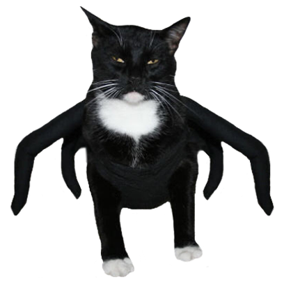 Halloween Cats messages sticker-7