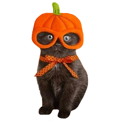 Halloween Cats messages sticker-0