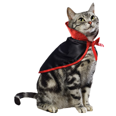 Halloween Cats messages sticker-9