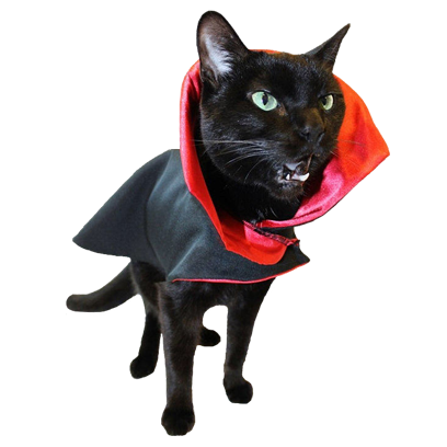 Halloween Cats messages sticker-3