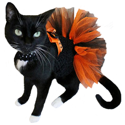 Halloween Cats messages sticker-5