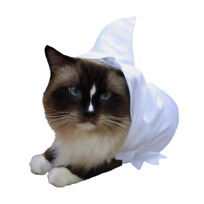 Halloween Cats messages sticker-8