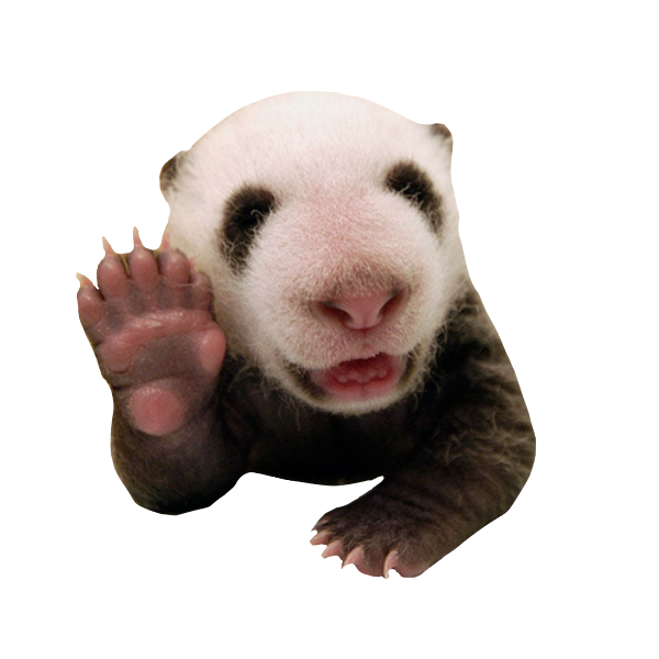 Animals Memes Stickers messages sticker-8