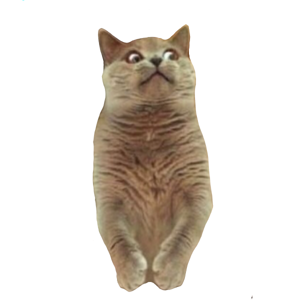 Animals Memes Stickers messages sticker-6