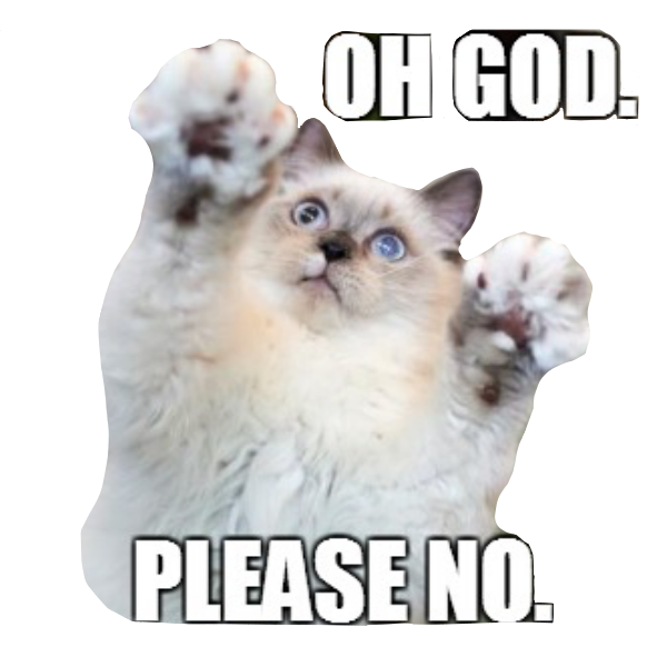Animals Memes Stickers messages sticker-11