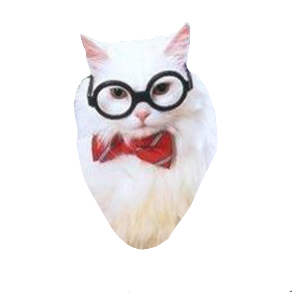 Animals Memes Stickers messages sticker-5