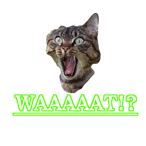 Animals Memes Stickers messages sticker-10