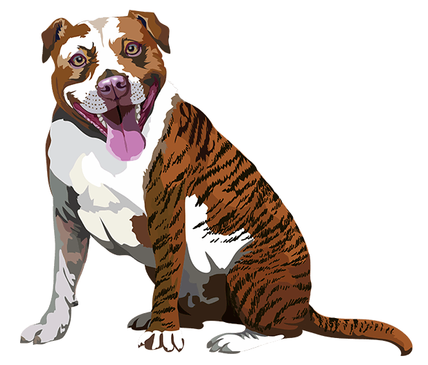 Realistic Dog Art - Dogs, Terrier, Black Lab, Pug messages sticker-8