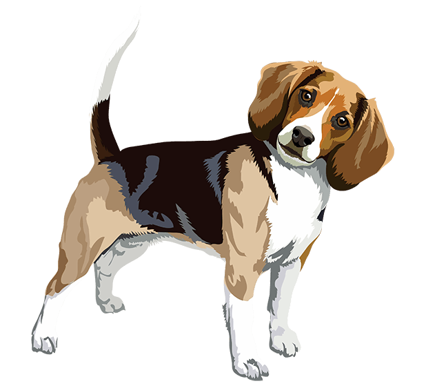 Realistic Dog Art - Dogs, Terrier, Black Lab, Pug messages sticker-10