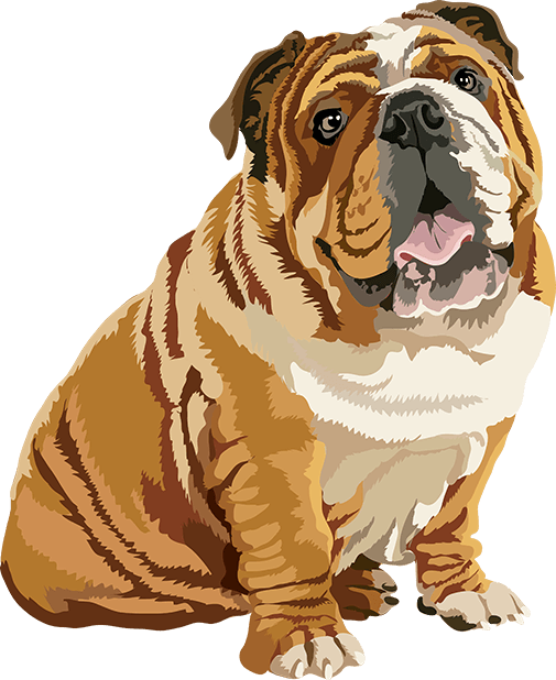 Realistic Dog Art - Dogs, Terrier, Black Lab, Pug messages sticker-6