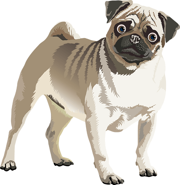 Realistic Dog Art - Dogs, Terrier, Black Lab, Pug messages sticker-4