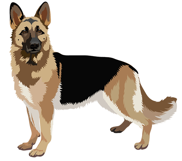 Realistic Dog Art - Dogs, Terrier, Black Lab, Pug messages sticker-5
