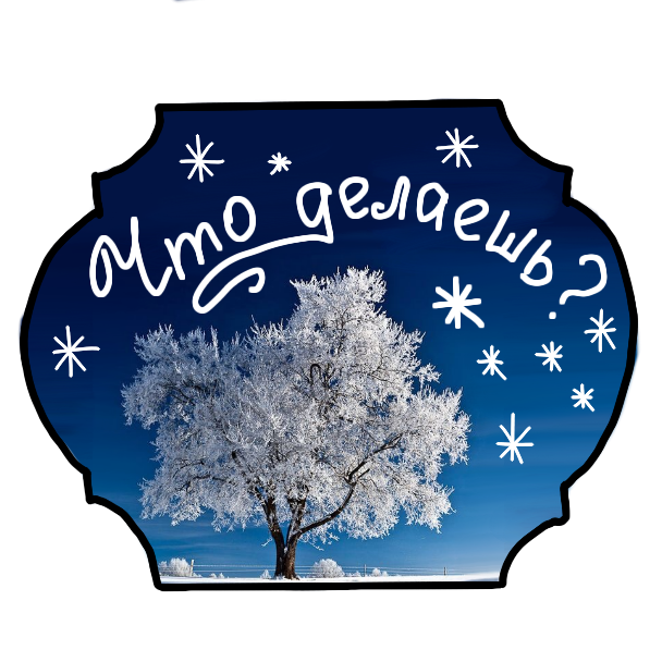 Winter Stickers messages sticker-0