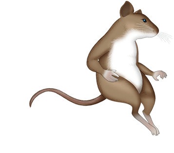 Of Mice messages sticker-8