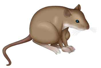 Of Mice messages sticker-0