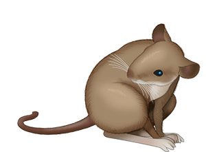 Of Mice messages sticker-6