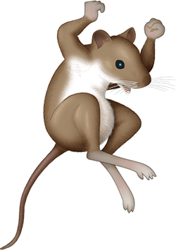 Of Mice messages sticker-2