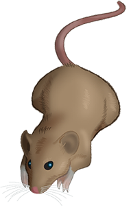 Of Mice messages sticker-10