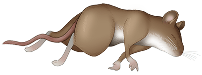 Of Mice messages sticker-3