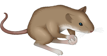 Of Mice messages sticker-1