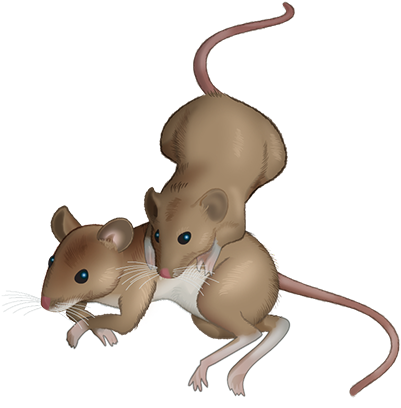 Of Mice messages sticker-11
