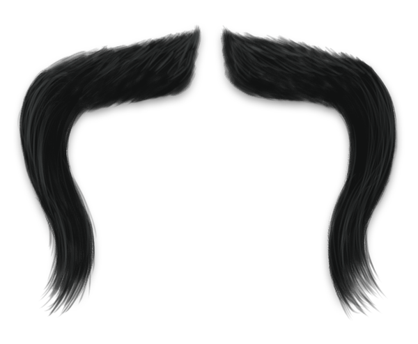 ElMostacho Stickers - Stache funny photos messages sticker-4