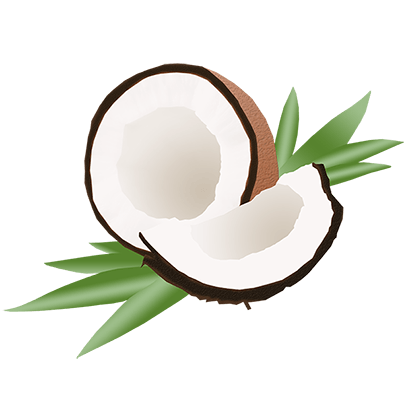 Lizzo: Coconut Oil Sticker Pack messages sticker-11