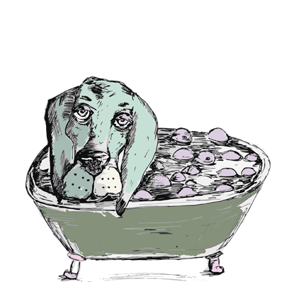 Mishi messages sticker-2