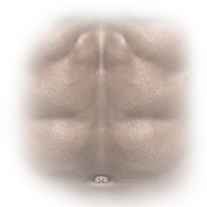Sticker Abs 2016 messages sticker-4