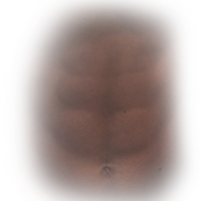 Sticker Abs 2016 messages sticker-1