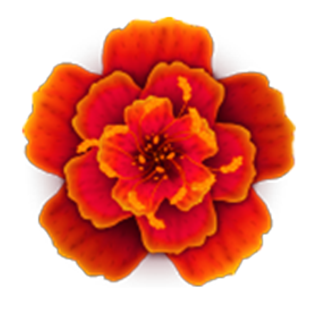 Fun Slot Games - Wild Orchid messages sticker-3
