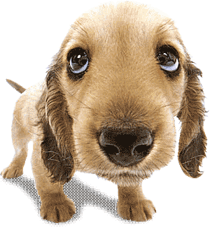 Cute Emoji By CharmPosh messages sticker-1