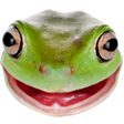 KappaMoji messages sticker-9