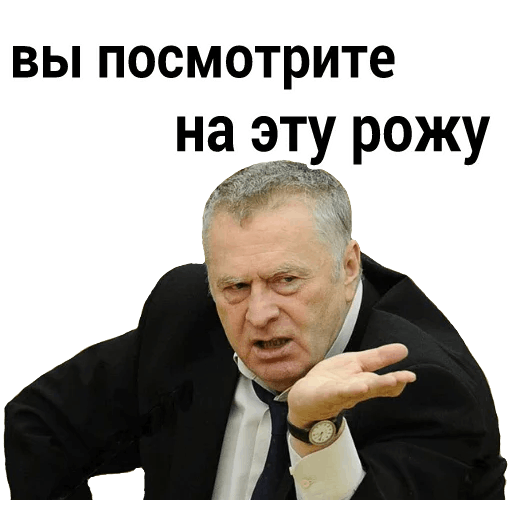 Жириновcкий messages sticker-10