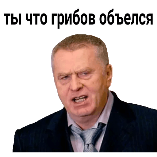 Жириновcкий messages sticker-11