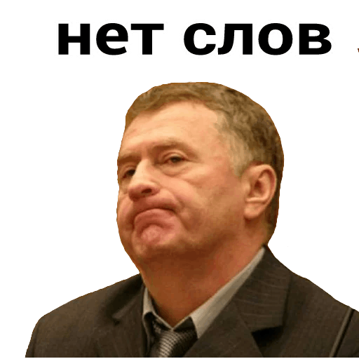 Жириновcкий messages sticker-2