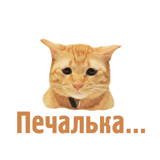 Комичные животные messages sticker-11