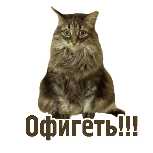 Комичные животные messages sticker-9