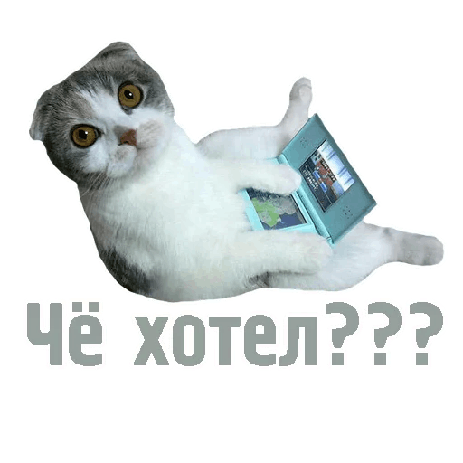 Комичные животные messages sticker-7