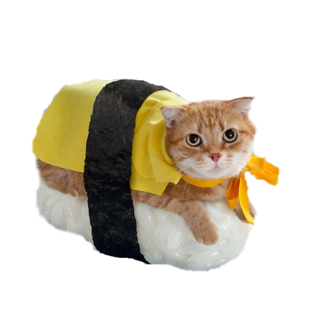 CatMoji-Kitty Emoji Keyboard and iMessage Stickers messages sticker-7