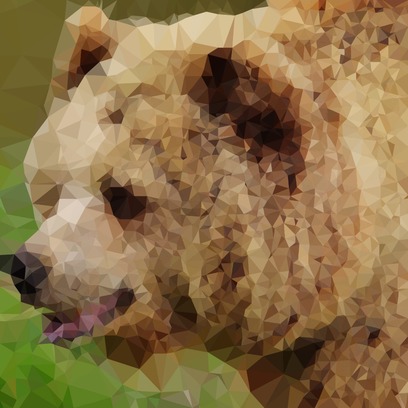 POLY NIMALS messages sticker-3