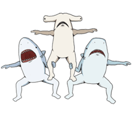 Crazy Sharks Stickers! messages sticker-0