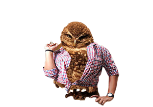 Birds with Arms Stickers messages sticker-0