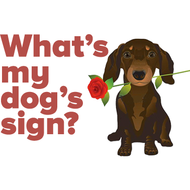Sign Now - Horoscope Finder messages sticker-5