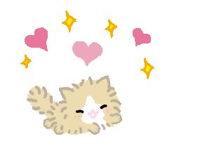 Stupid Cat Animated Stickers messages sticker-9