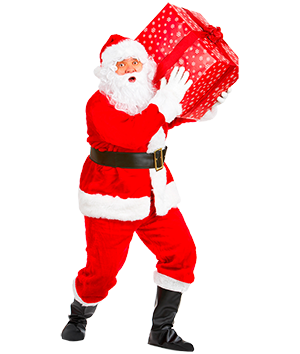 Selfie Santa Sticker messages sticker-10