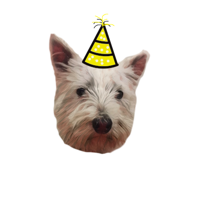 Snowy the Pupper Stickers for iMessage messages sticker-1