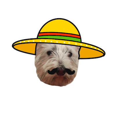 Snowy the Pupper Stickers for iMessage messages sticker-11