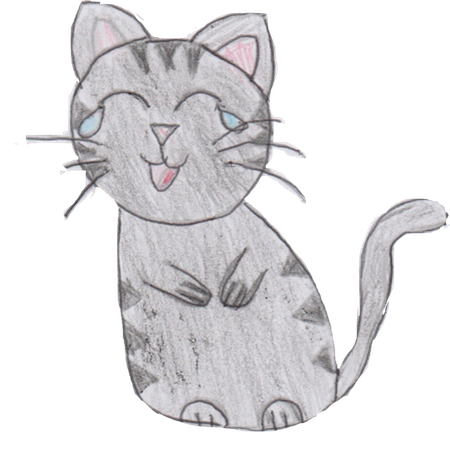 Sock Cat Stickers messages sticker-6